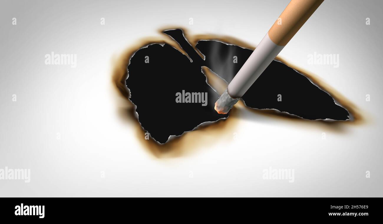 Fumo e malattia come concetto di effetti sulla salute con una sigaretta che brucia un buco in un'immagine dei polmoni umani come metafora medica per il cancro ai polmoni. Foto Stock