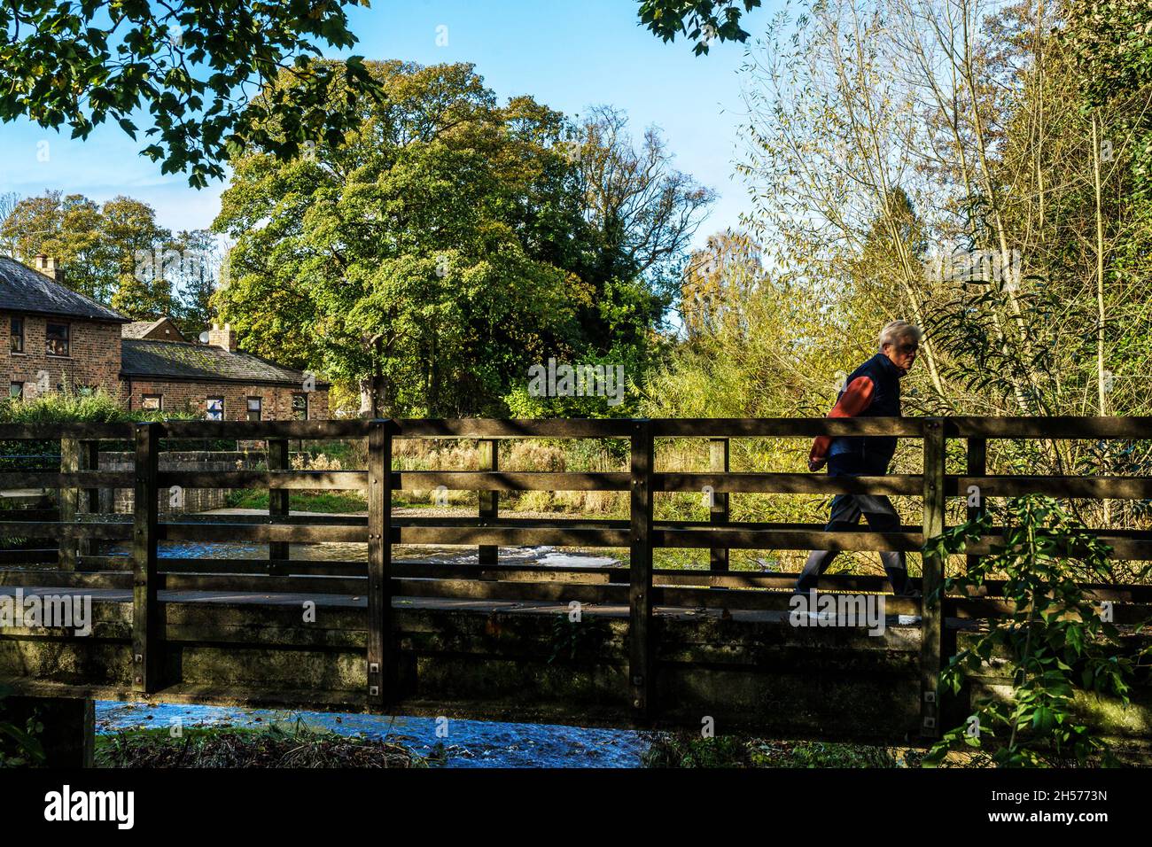 Ponte pedonale in legno sul fiume Skell con un uomo che lo attraversa con alberi colorati sullo sfondo in un giorno d'autunno, Ripon, Inghilterra, Regno Unito. Foto Stock