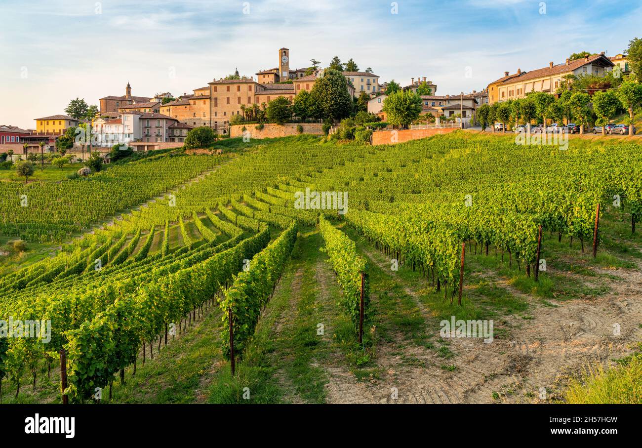 Il bellissimo borgo di Neive e i suoi vigneti nella regione delle Langhe del Piemonte. Foto Stock