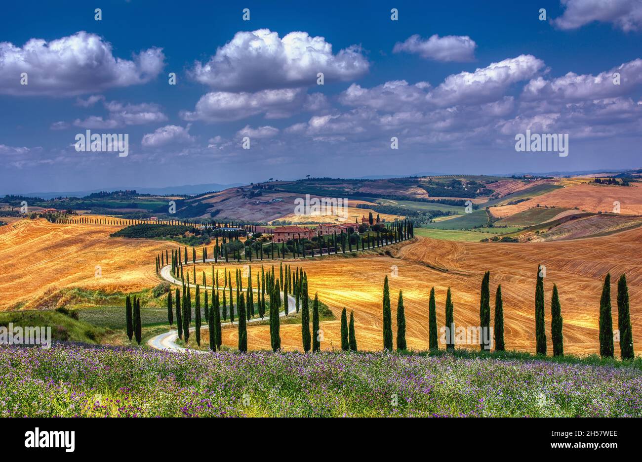 Toscana, Italia - Luglio 5, 2018: cipressi e prato con tipica casa toscana, Val d'Orcia, Italia - Toscana Foto Stock