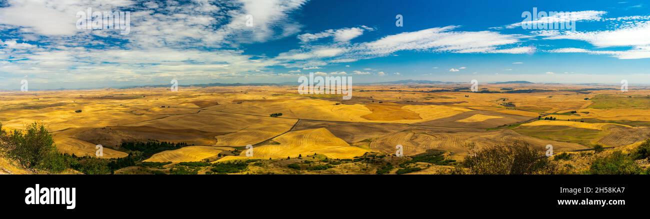 Le colline ondulate dorate del Palouse durante l'estate a Washington, Stati Uniti Foto Stock