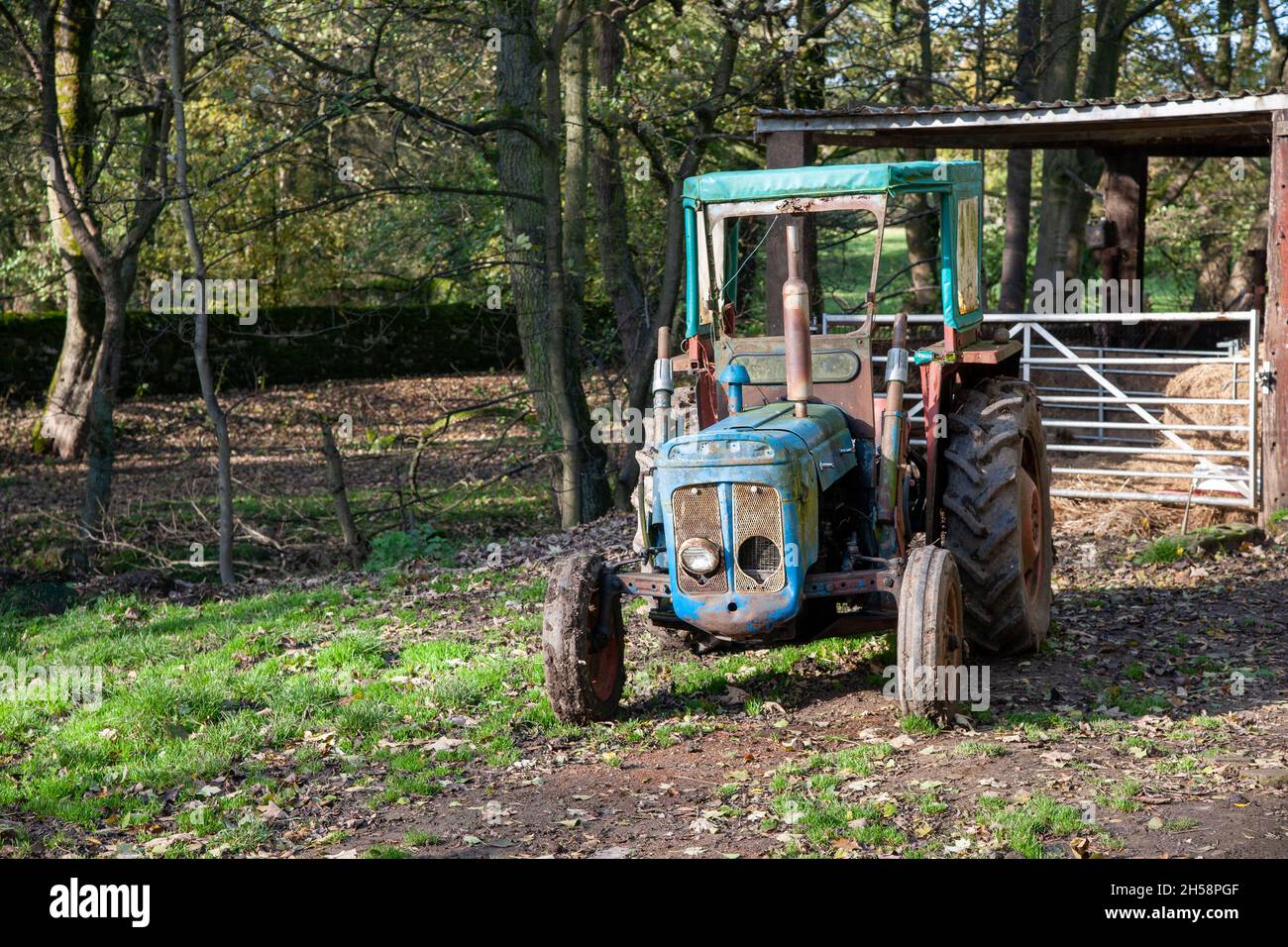 Vecchio trattore arrugginito e rovinato in un campo con boschi dietro Foto Stock