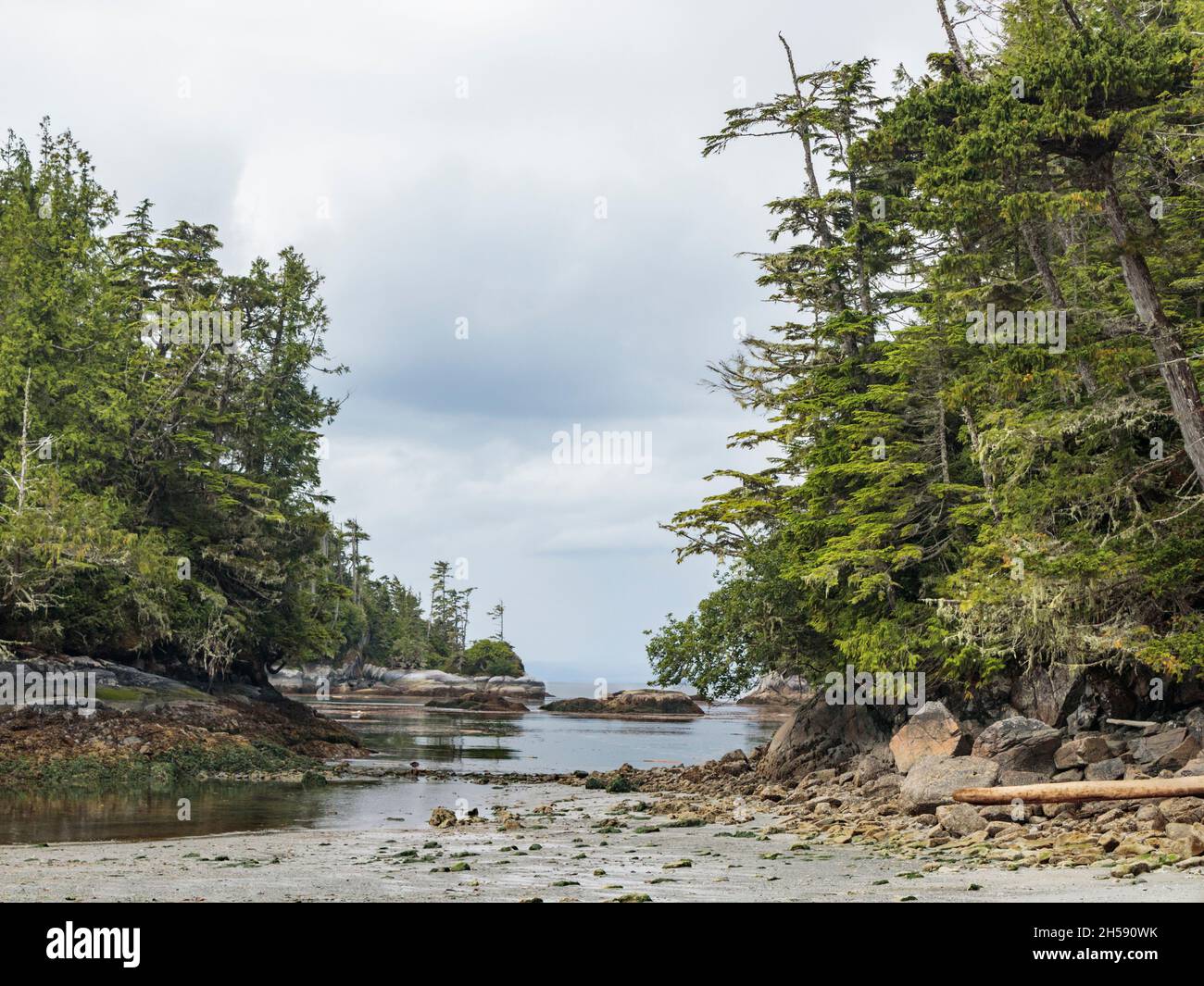 Una vista dalla spiaggia a bassa marea di alberi, isolotti rocciosi e sabbia bagnata in una baia sul bordo orientale del remoto Queen Charlotte Strait, British Columbia. Foto Stock