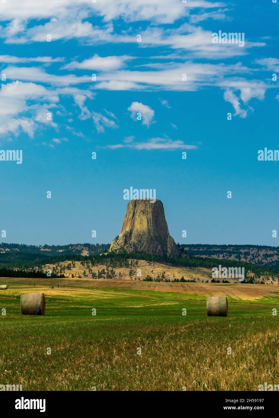Balle di fieno in campo vicino al Devils Tower National Monument, Wyoming Foto Stock