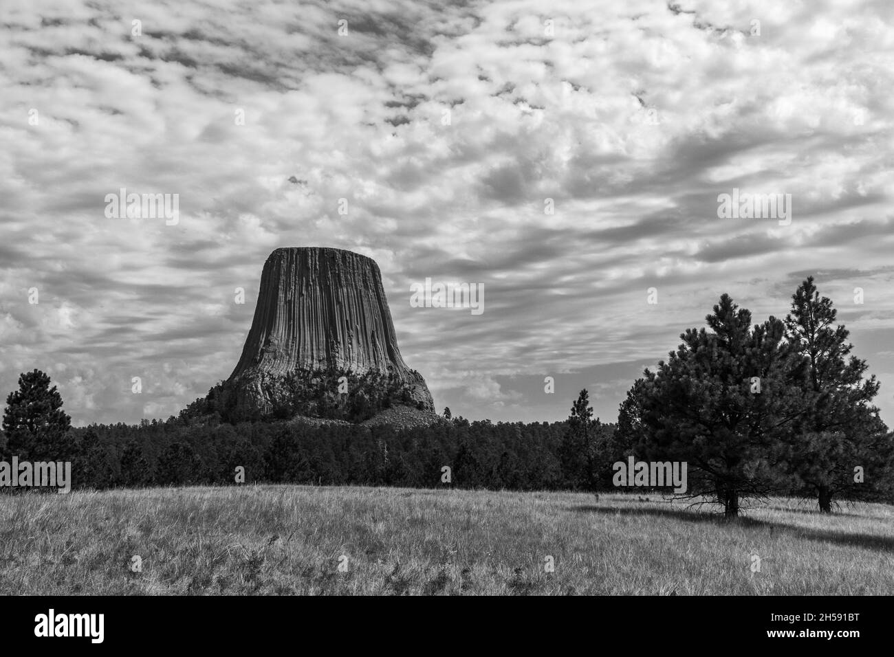 Estate in monocromo al Devils Tower National Monument, Wyoming Foto Stock