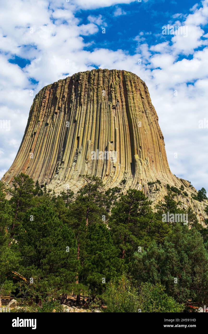 Estate al Devils Tower National Monument, Wyoming Foto Stock