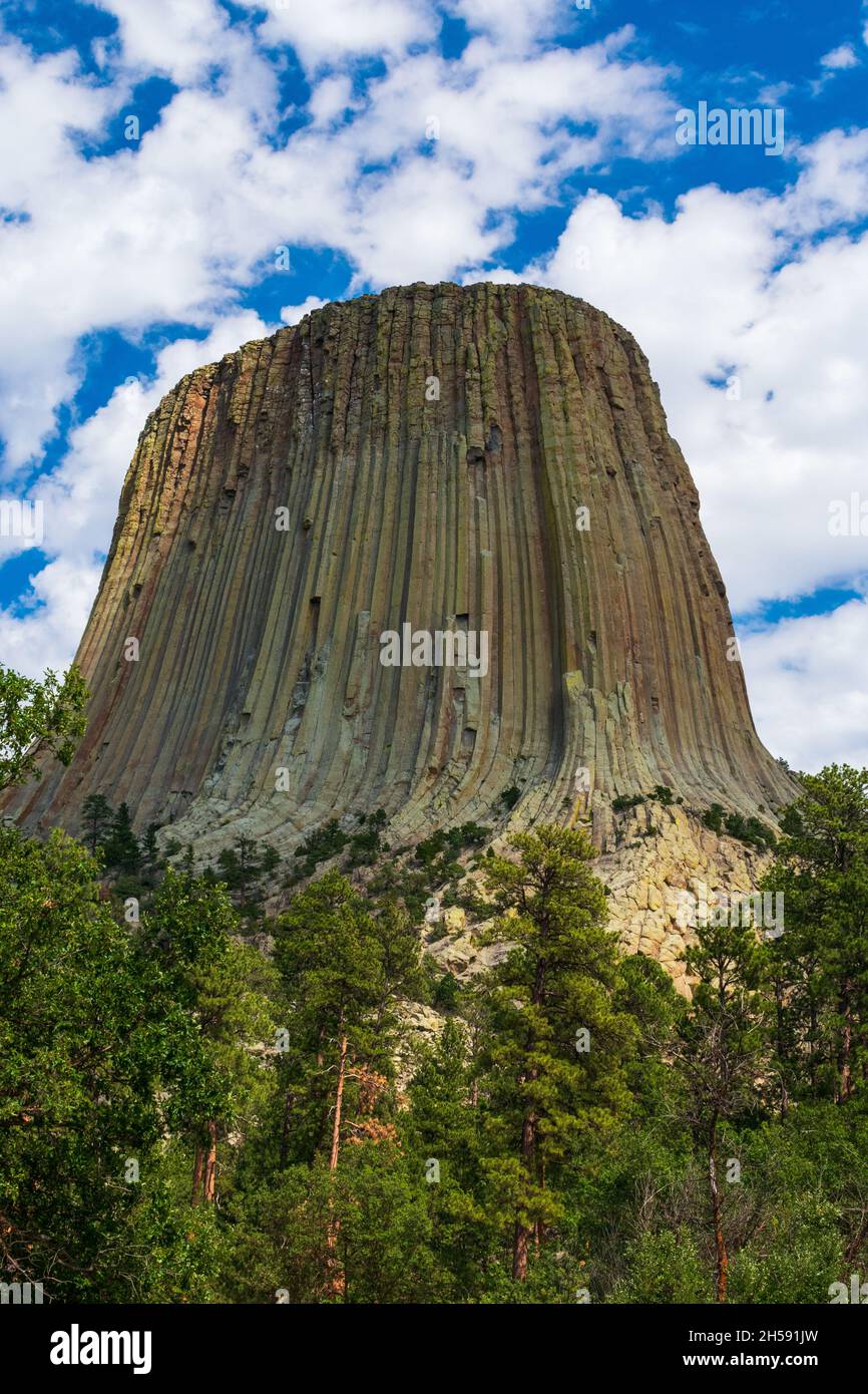 L'ombra cade sulla torre, il Devils Tower National Monument, Wyoming Foto Stock