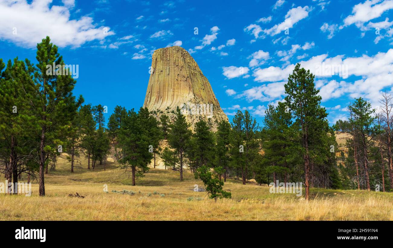 Foreste tranquille al Devils Tower National Monument, Wyoming Foto Stock