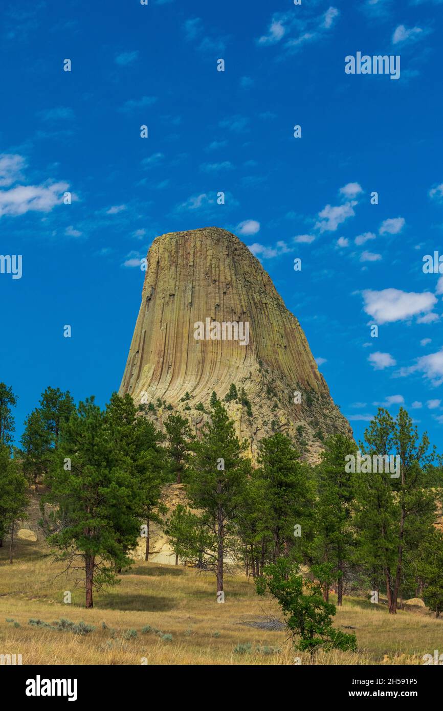 Estate al Devils Tower National Monument, Wyoming Foto Stock