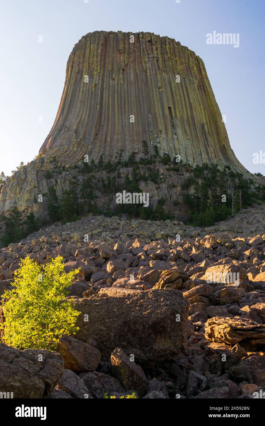 Sole mattutino dietro la Devils Tower al Devils Tower National Monument, Wyoming Foto Stock