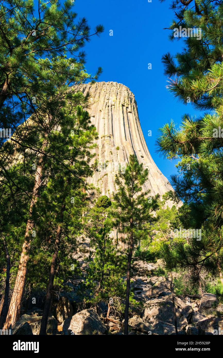 Cielo blu al Devils Tower National Monument, Wyoming Foto Stock