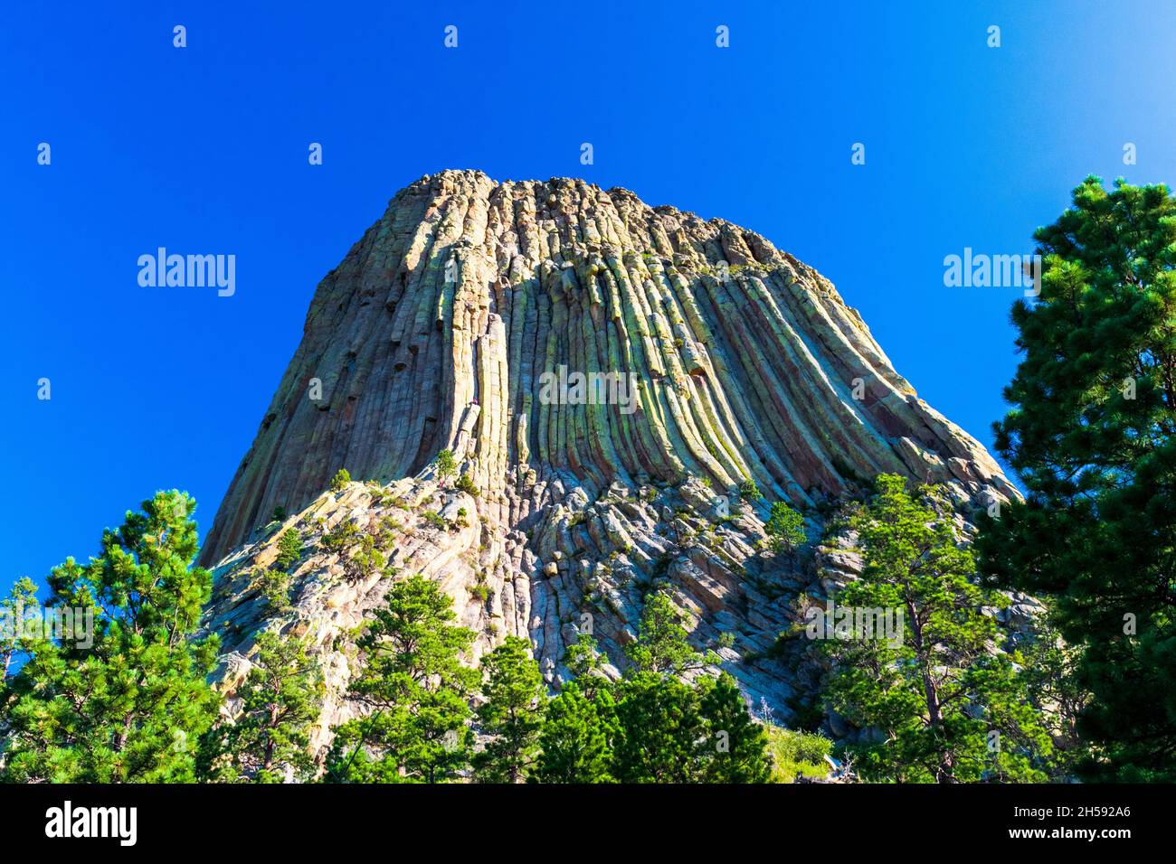 Bel sole mattutino luminoso sulla Devils Tower al Devils Tower National Monument, Wyoming Foto Stock