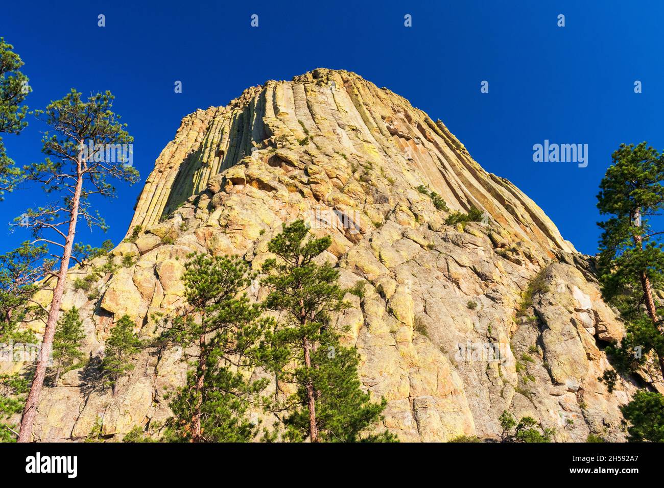 Mattina al Devils Tower National Monument, Wyoming Foto Stock