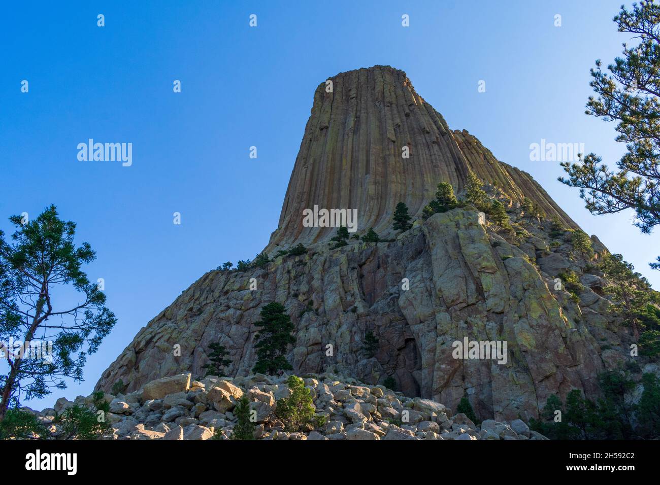Mattina al Devils Tower National Monument, Wyoming Foto Stock