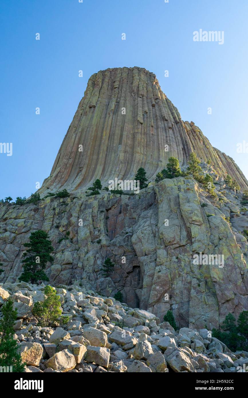 Mattina al Devils Tower National Monument, Wyoming Foto Stock