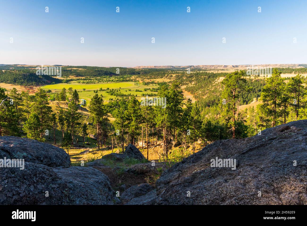 Si affaccia sulla valle della foresta presso il Devils Tower National Monument, Wyoming Foto Stock