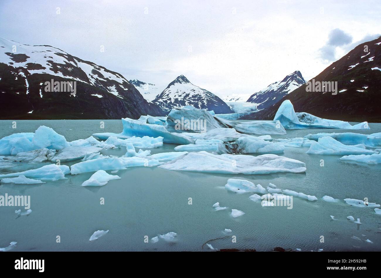 Ghiaccioli in un lago glaciale al ghiacciaio di Portage in Alaska Foto Stock