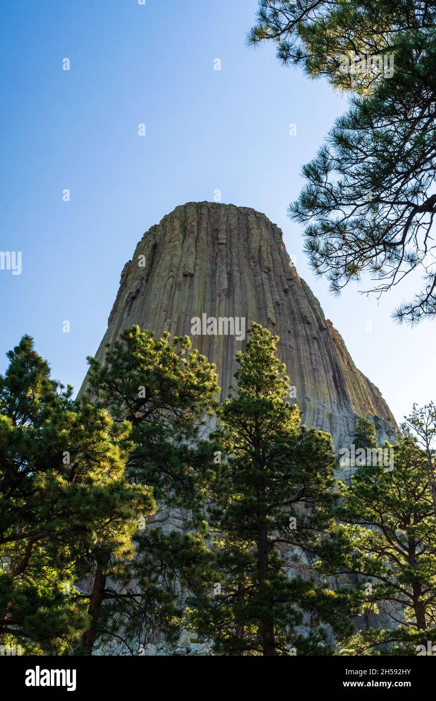 Devils Tower, Devils Tower National Monument, Wyoming Foto Stock