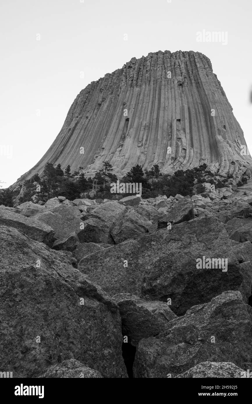 Devils Tower Monochrome, Devils Tower National Monument, Wyoming Foto Stock