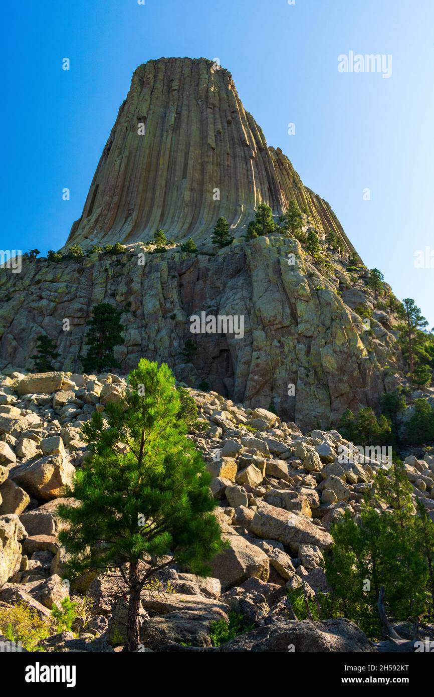 Mattina al Devils Tower National Monument, Wyoming Foto Stock
