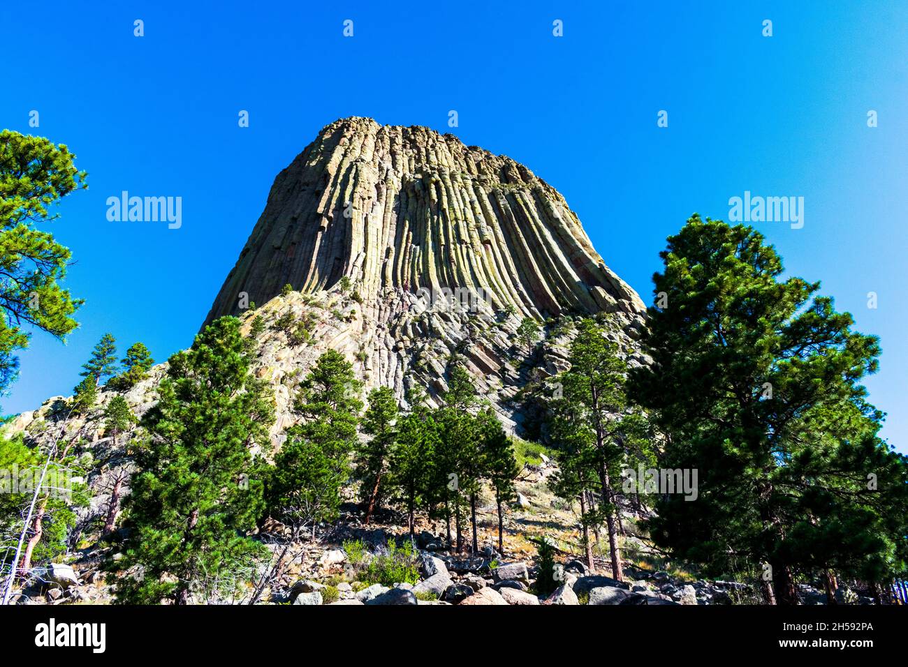 Bella mattina al Devils Tower National Monument, Wyoming Foto Stock