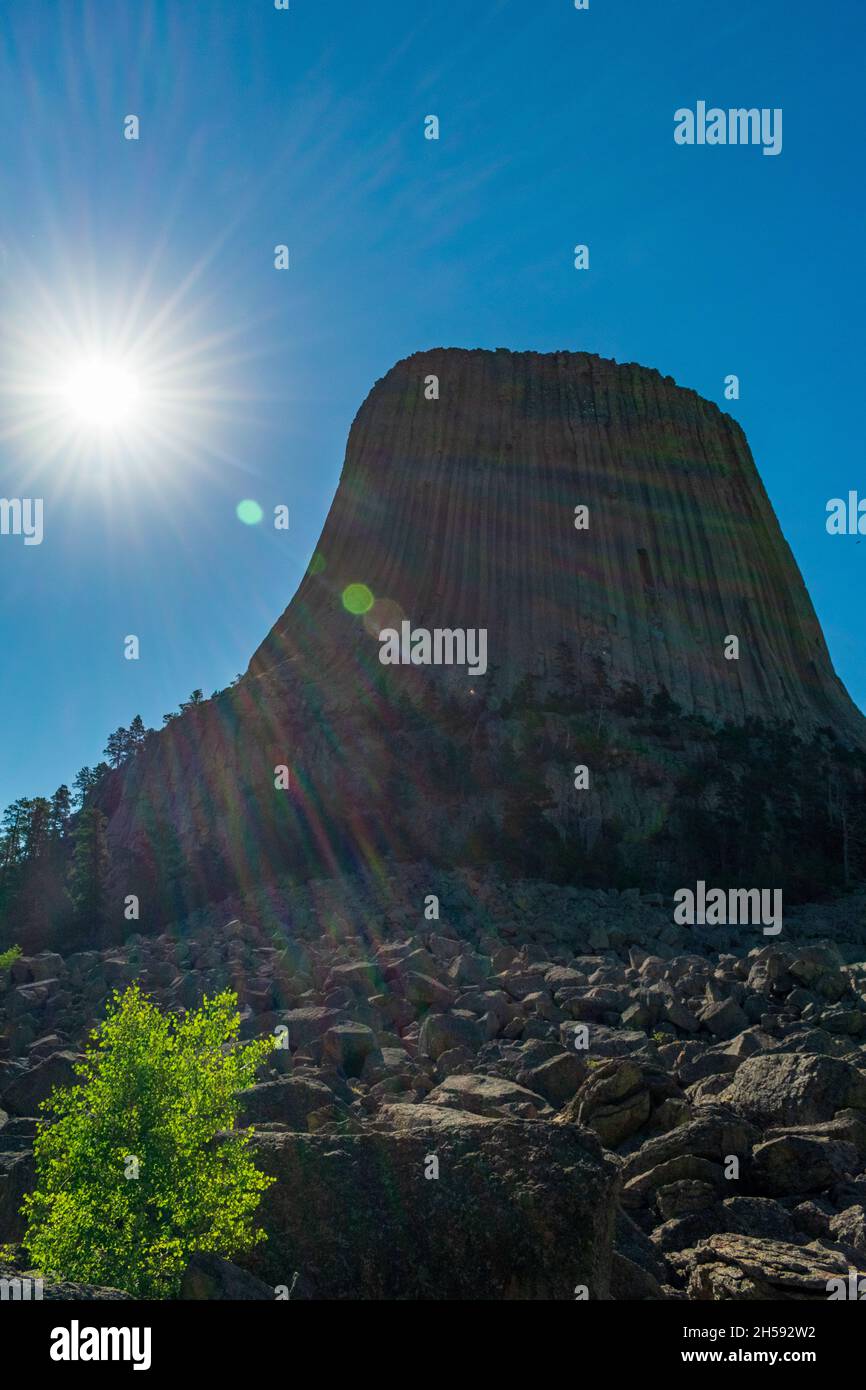 Sole mattutino al Devils Tower National Monument, Wyoming Foto Stock