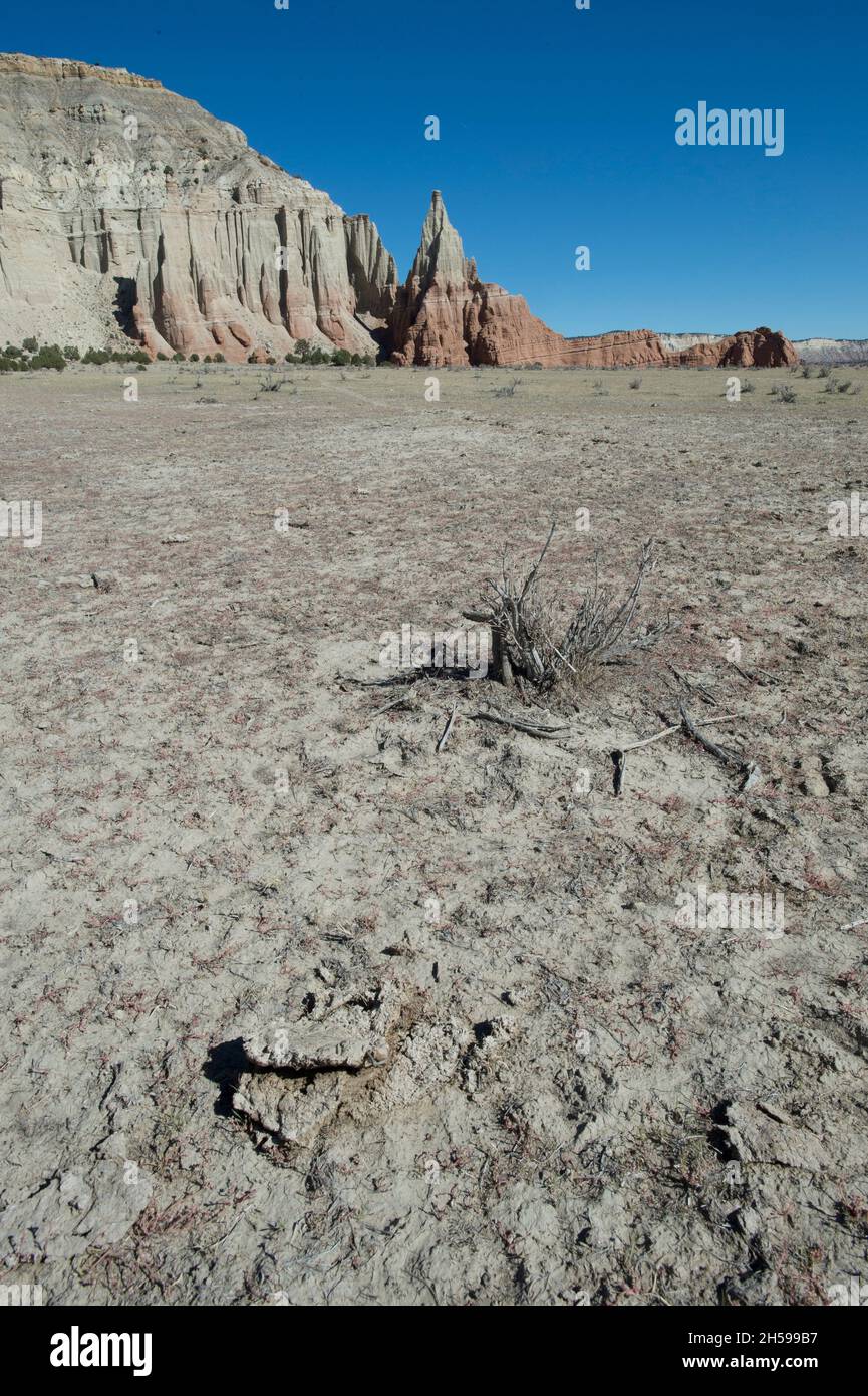 Grave sovraspascolo nel Kodachrome Basin state Park, Utah Foto Stock