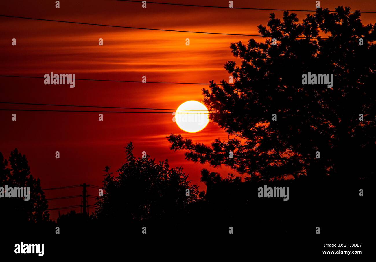 Un colorato scatto di alba in città con sole, cielo, alberi e linee elettriche della città a Toronto, Ontario, Canada Foto Stock