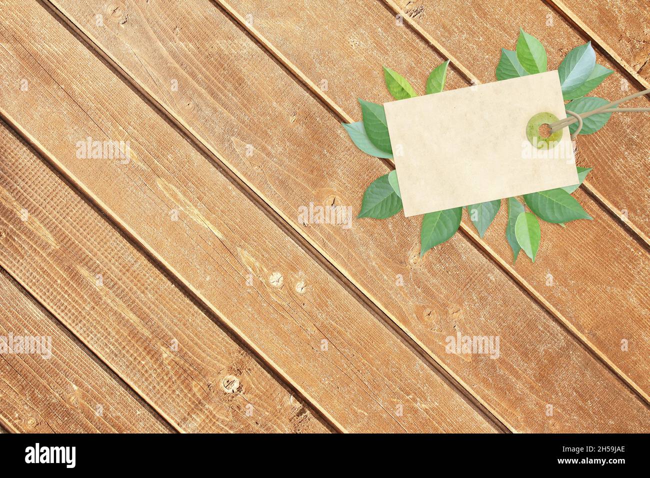 Sfondo orizzontale con etichetta di carta ecologica e foglie verdi su tavole di legno. Ecologia, bio, utilizzando solo materiali naturali e senza rifiuti concetto. Copia Foto Stock