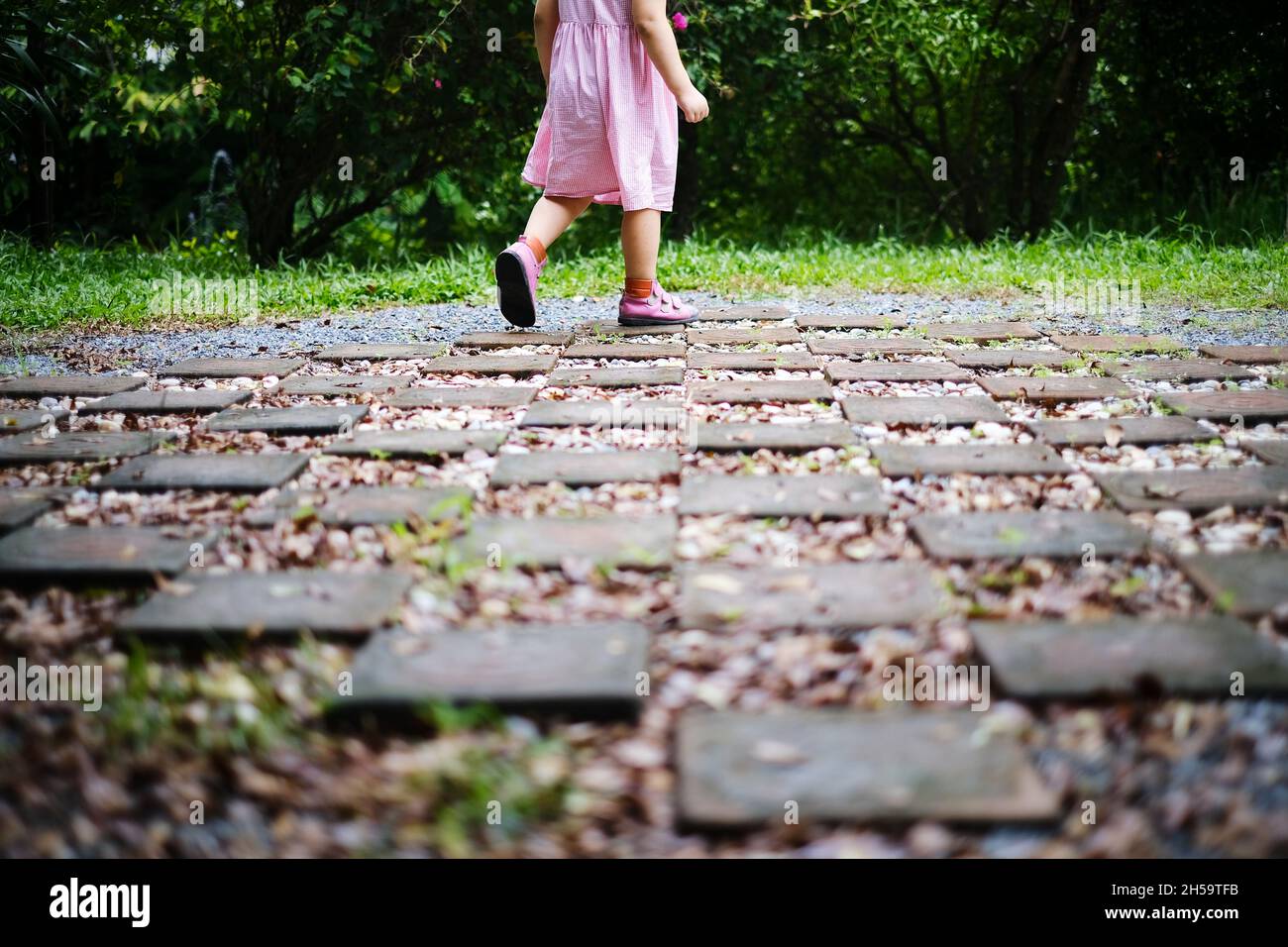 Una vista posteriore metà inferiore del corpo di una bambina in abito rosso e bianco che cammina su un pavimento in pietra e ghiaia all'interno di un giardino con cespugli verdi in t Foto Stock