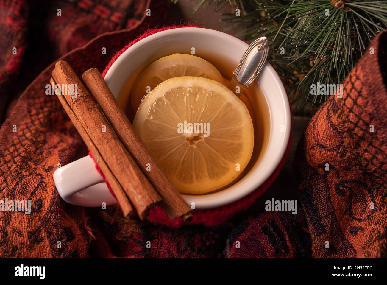 Vista autunno o inverno della cannella, limoni, tè caldo con sciarpa calda. Foto Stock