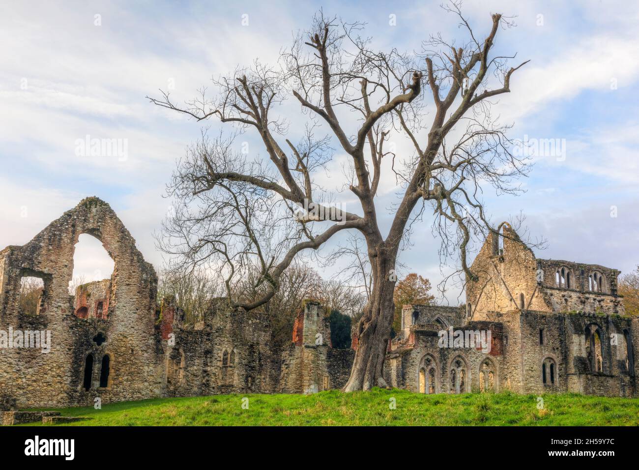 Netley Abbey, Southampton, Hampshire, Inghilterra, Regno Unito Foto Stock