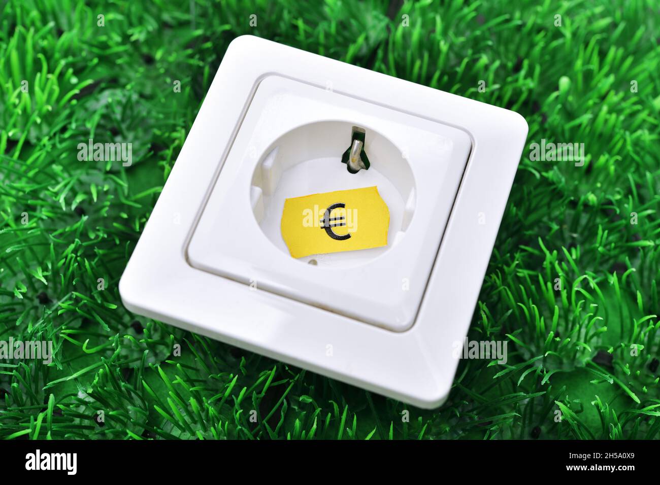 Steckdose mit Preisetichett auf Gras, Symbolfoto für steigende Stromkosten Foto Stock
