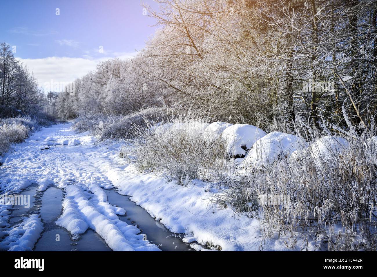 Verschneiter Feldweg a Kirchwerder, Vier- und Marschlande, Amburgo, Germania, Europa Foto Stock