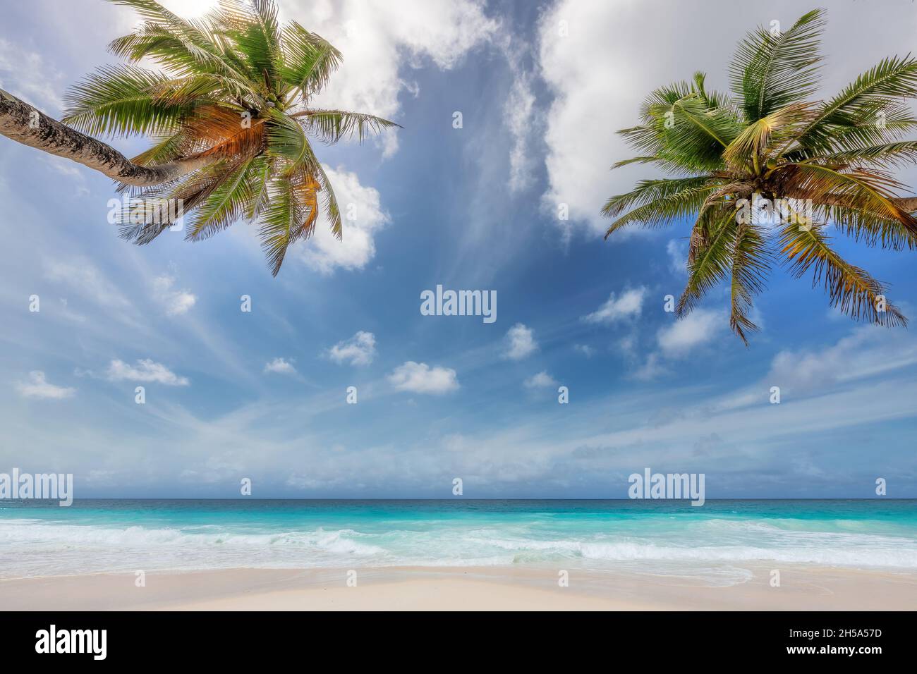 Spiaggia soleggiata con palme coco e mare tropicale nell'isola del paradiso Foto Stock