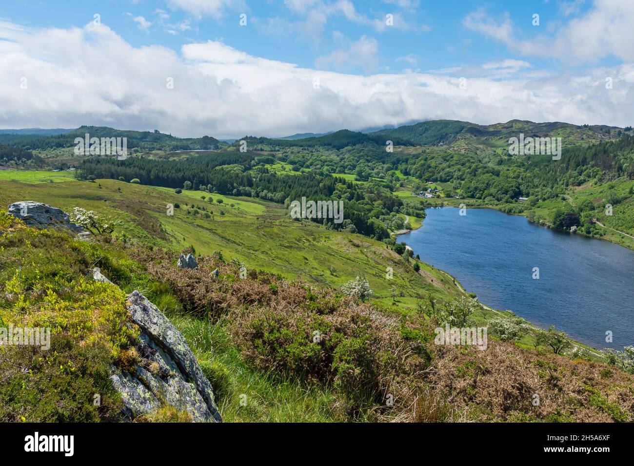 La vista sopra Llyn Geirionydd vicino Llanrwst guardando verso Snowdonia Foto Stock