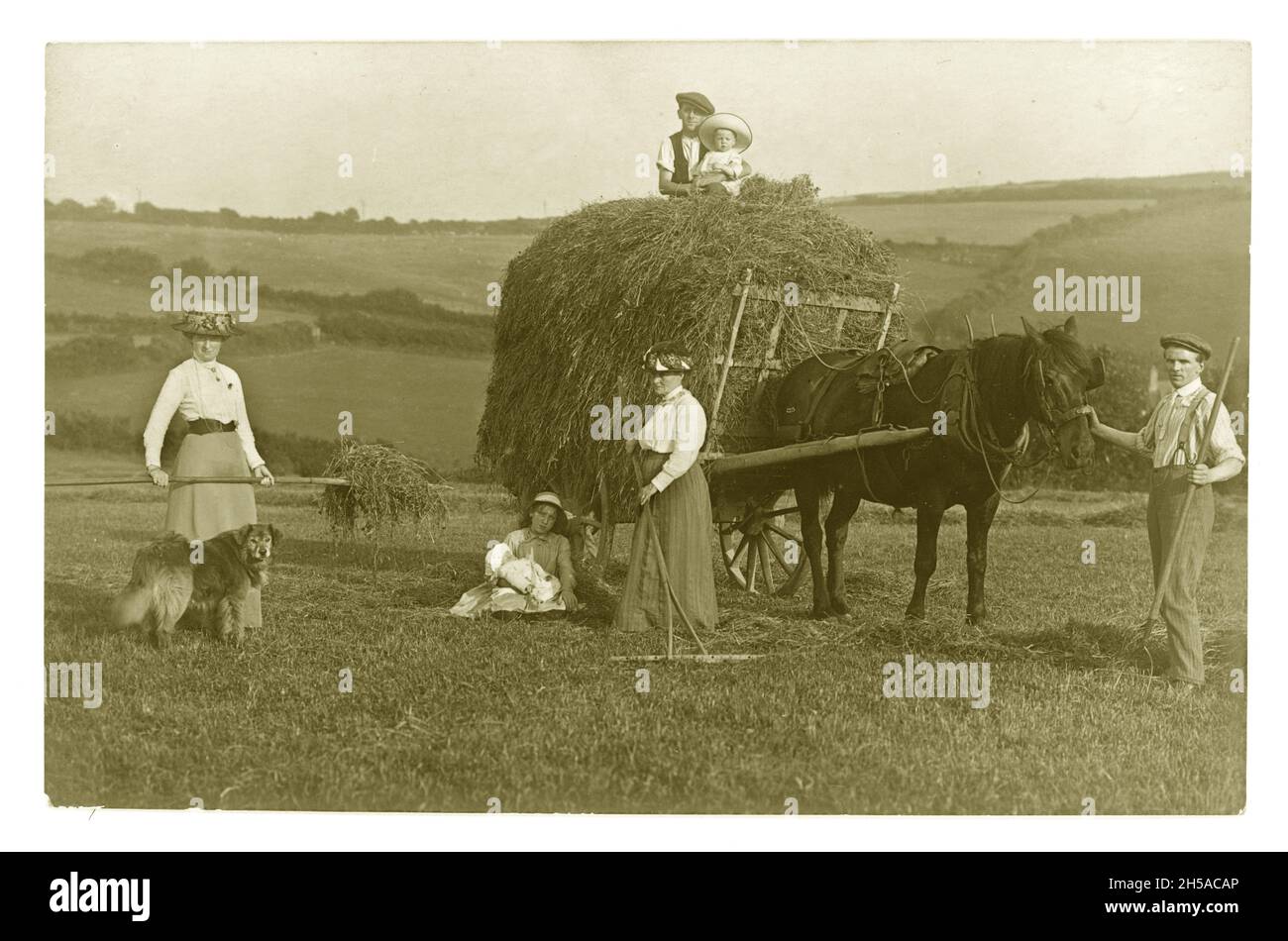 Cartolina di auguri originali della fattoria edoardiana dei primi anni '1900 di persone in un campo che indossano i migliori vestiti della domenica, portando fieno, cavallo e carro, circa 1901, Regno Unito Foto Stock