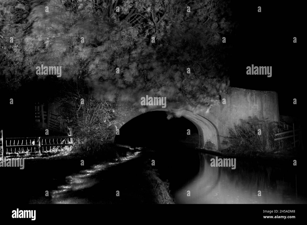 Bridge 124 sul canale South Oxford di notte. Foto Stock