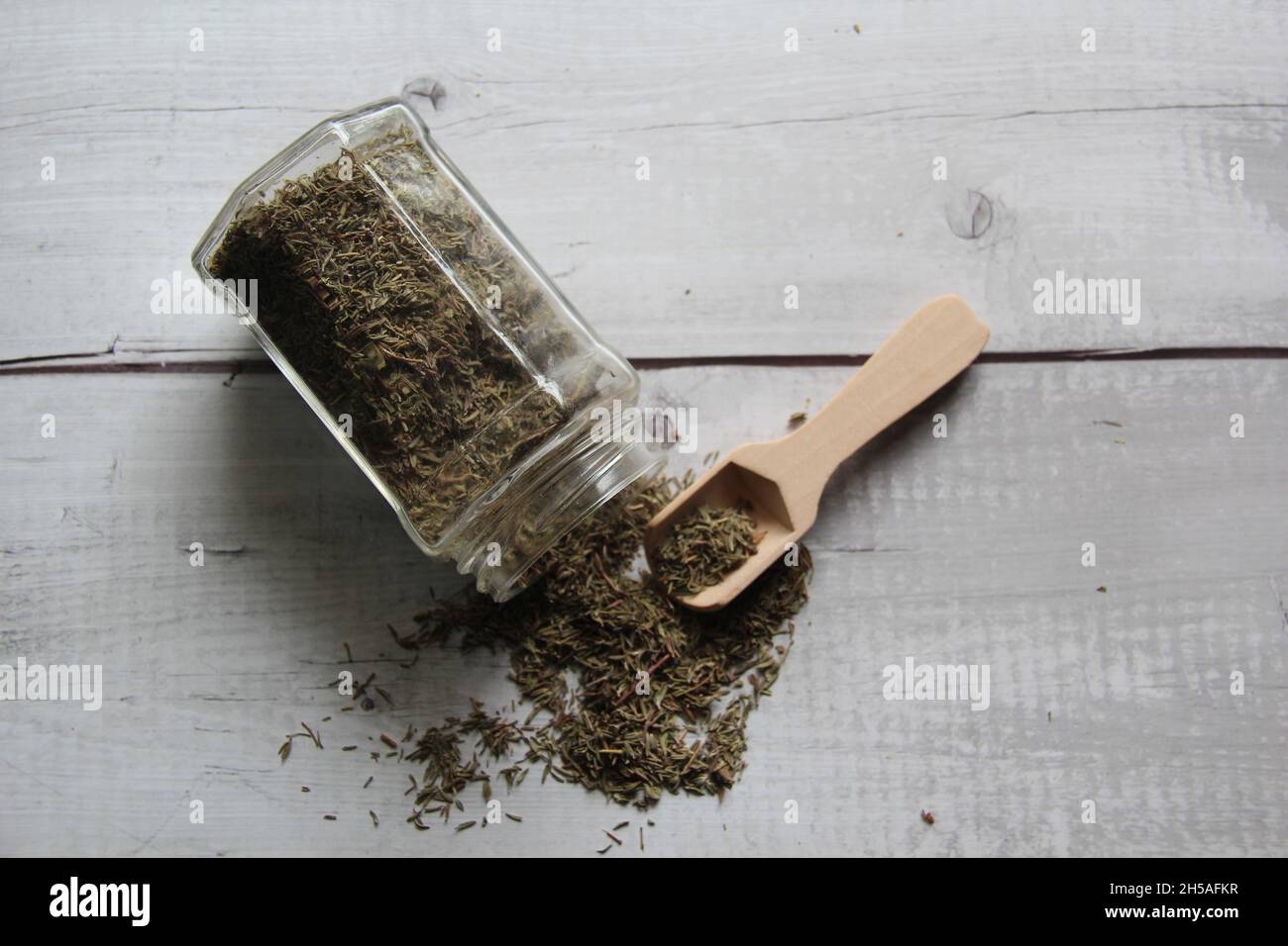 Timo: Essiccato, con misurino in legno, su un vecchio tavolo in legno. Spazio per il testo. Vista dall'alto. Foto Stock