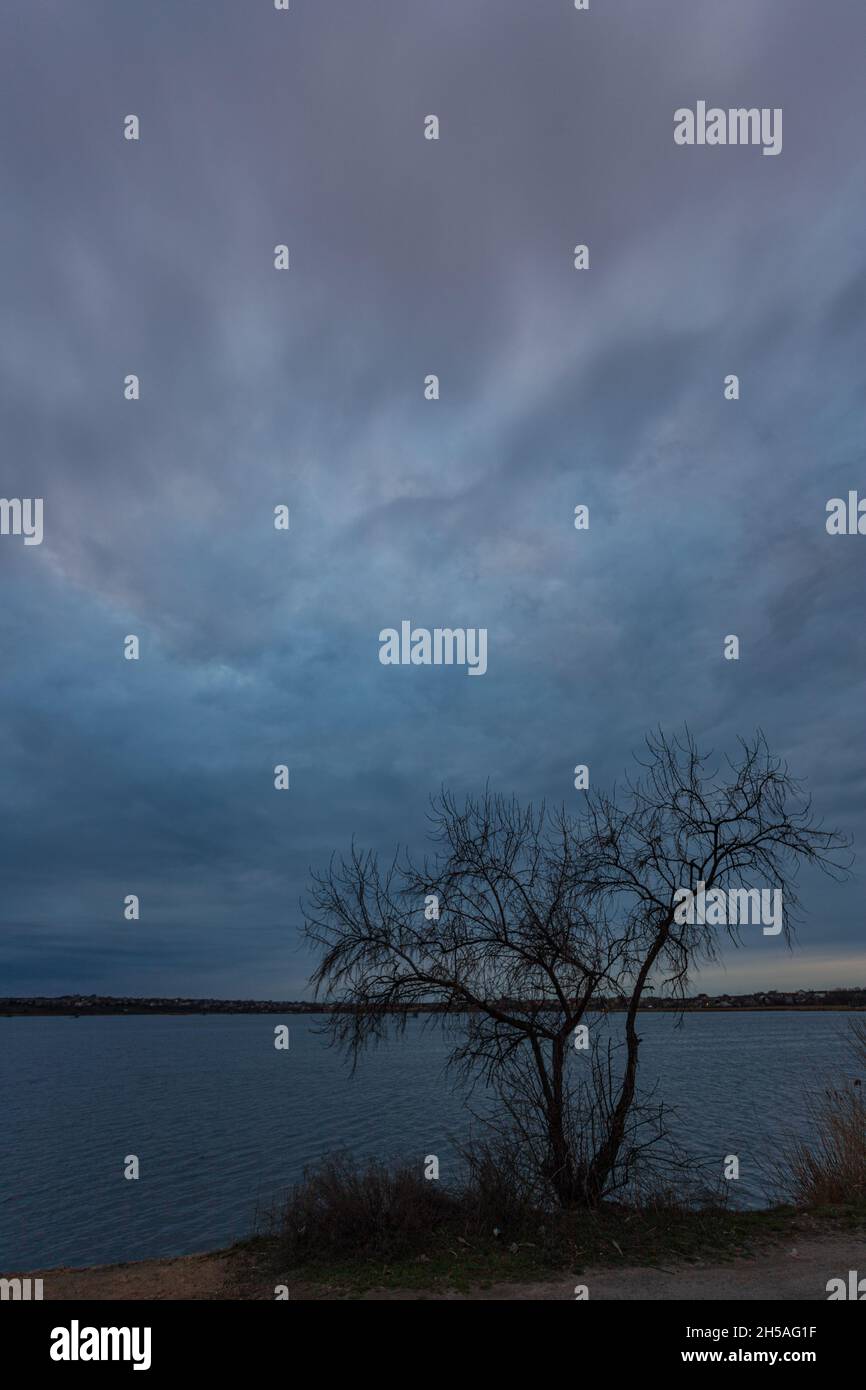 Tarda sera al lago. Coperto e nuvoloso con rami d'albero in primo piano Foto Stock