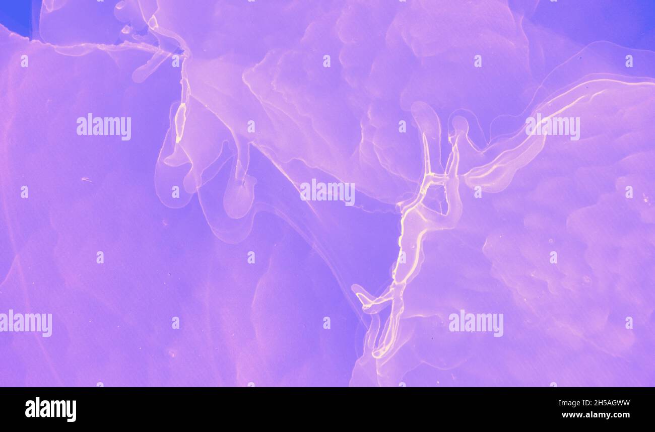 Sfondo inchiostro grafico. Rosa moderno contemporaneo Foto Stock