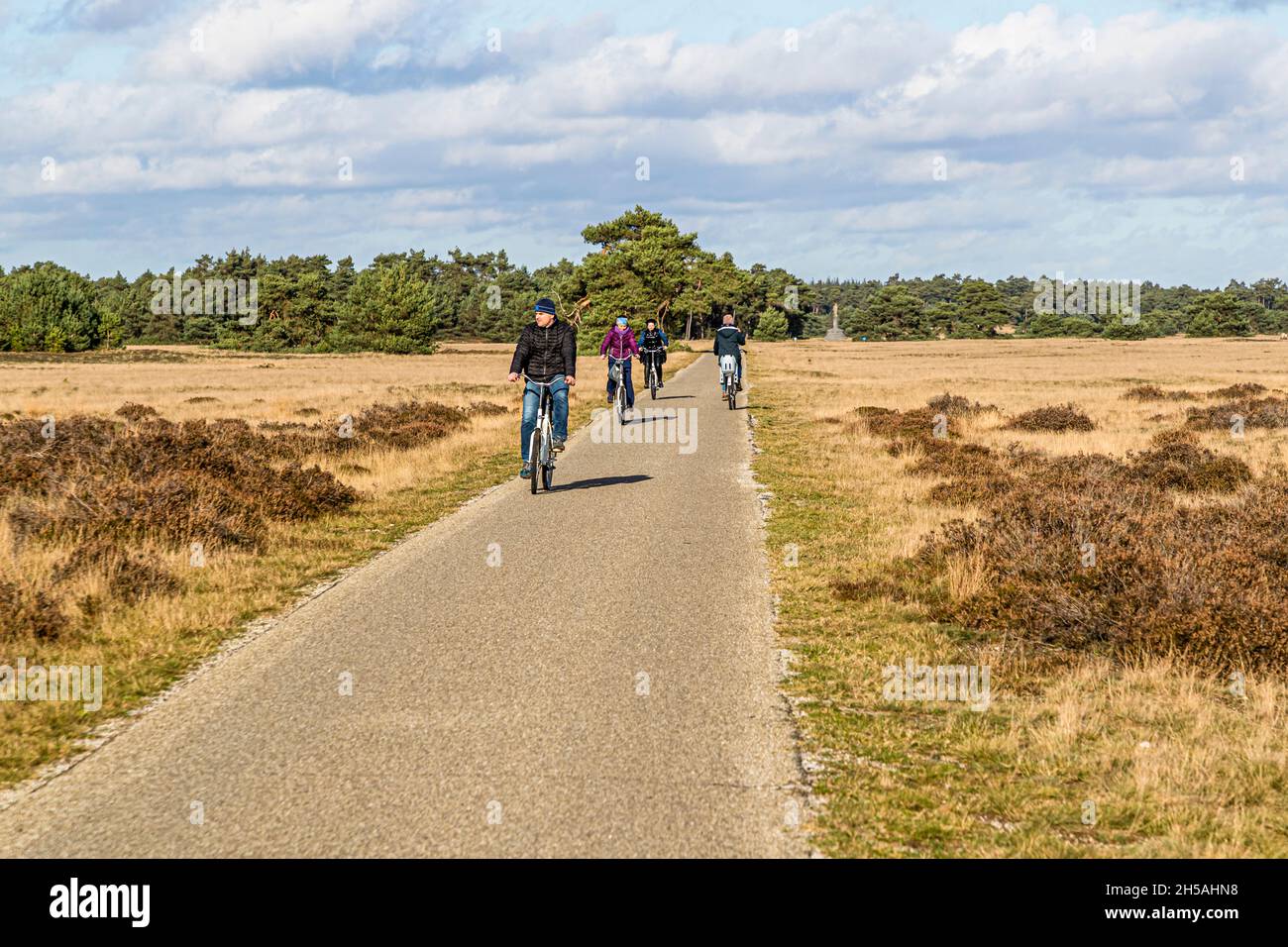 Nel Parco Nazionale di Hoge Veluwe: Infinite distese e percorsi ciclabili intelligenti in un paesaggio variegato. Parco Nazionale De Hoge Veluwe a Otterlo, Paesi Bassi Foto Stock