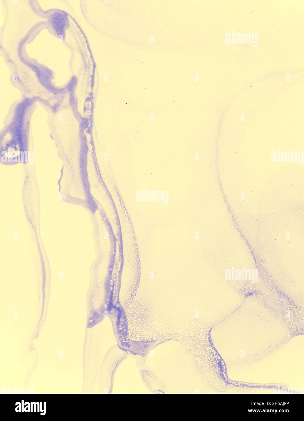 Modello di invito al matrimonio. Flusso pastello giallo Foto Stock