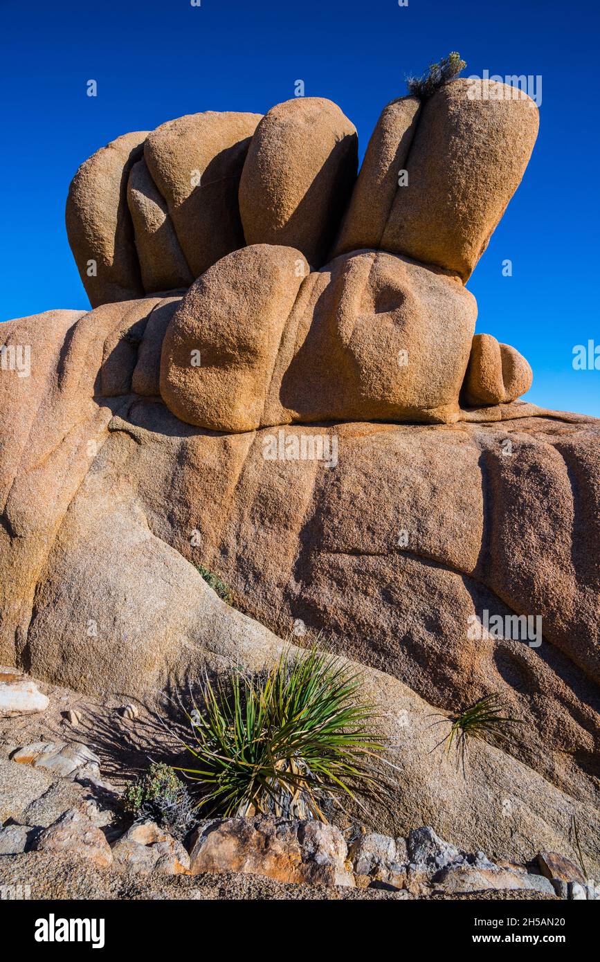 Parco Nazionale di Joshua Tree - Palme di Twentynine - California Foto Stock