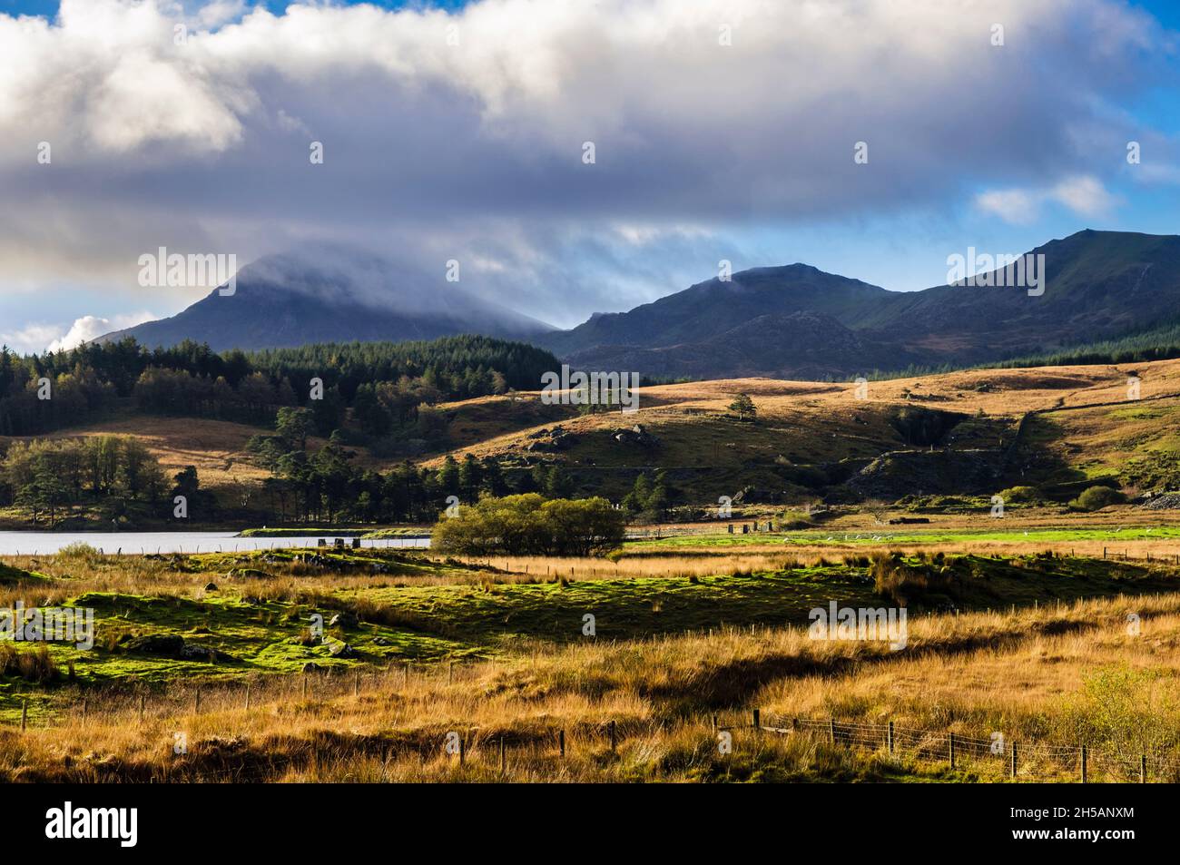 Ammira Llyn Y Gader fino a Moel Hebog nel Parco Nazionale di Snowdonia in autunno. Rhyd DDU, Gwynedd, Galles del nord, Regno Unito, Gran Bretagna Foto Stock