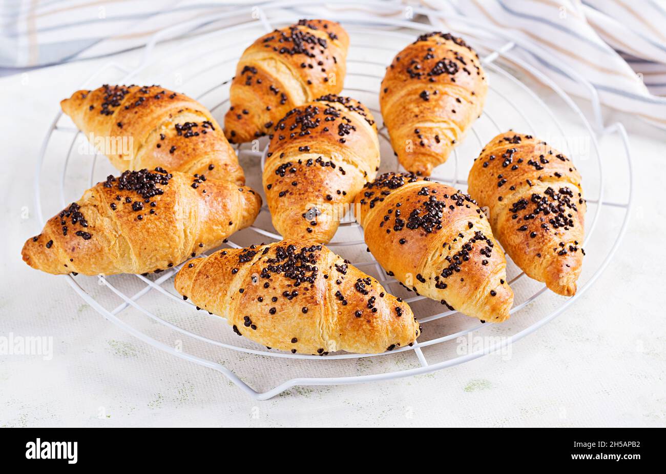 Croissant freschi fatti in casa con cioccolato. Foto Stock
