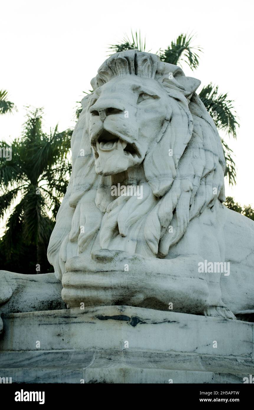 Leoni in cemento immagini e fotografie stock ad alta risoluzione