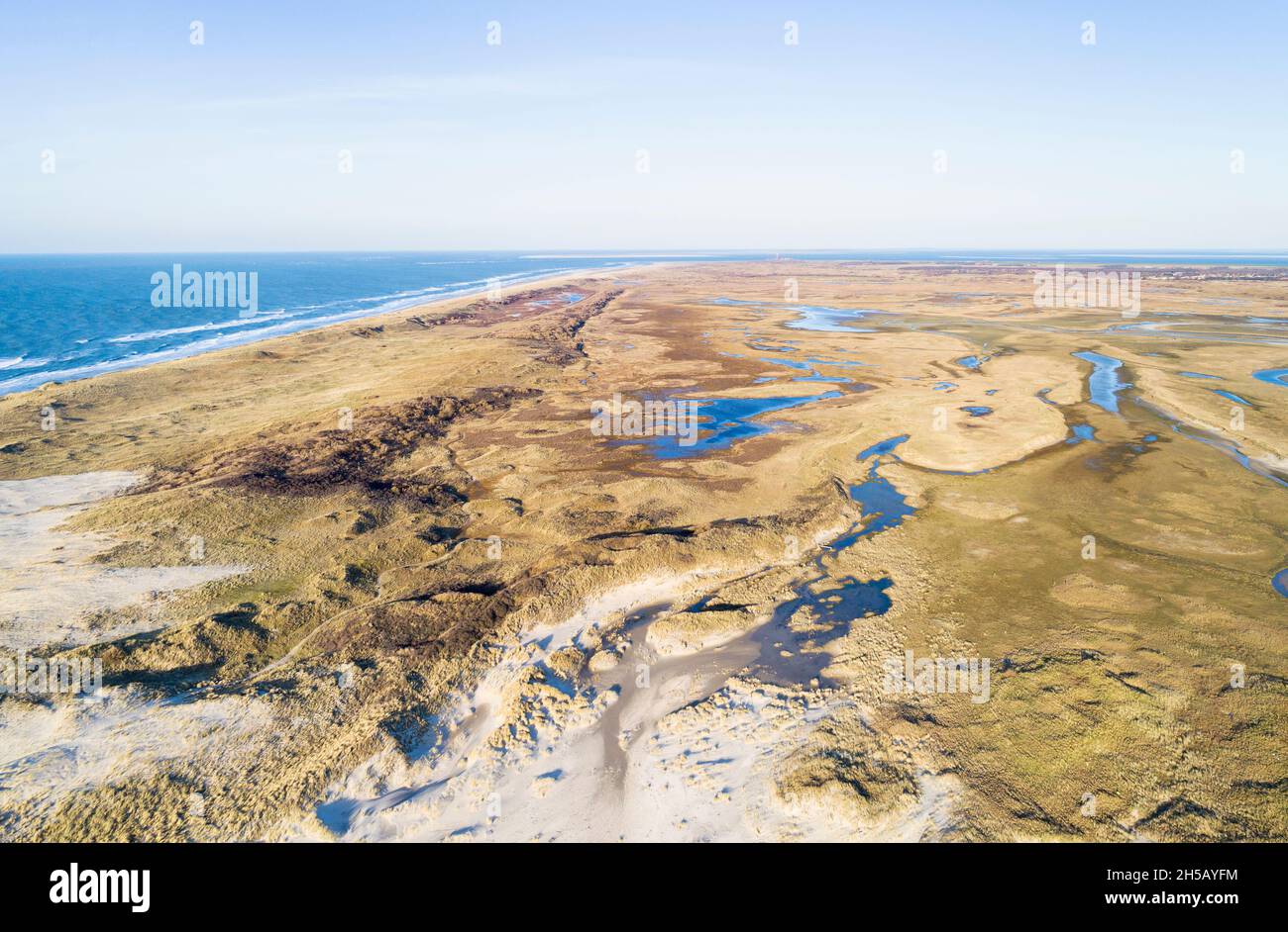 Vista aerea della Valle Slufter e dune lungo il Mare del Nord, Texel, Noord-Holland, Paesi Bassi Foto Stock