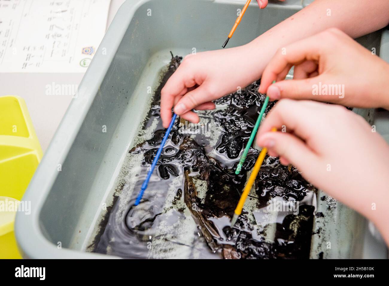 Esperimento di scienza con le mani dei bambini nel suolo Foto Stock