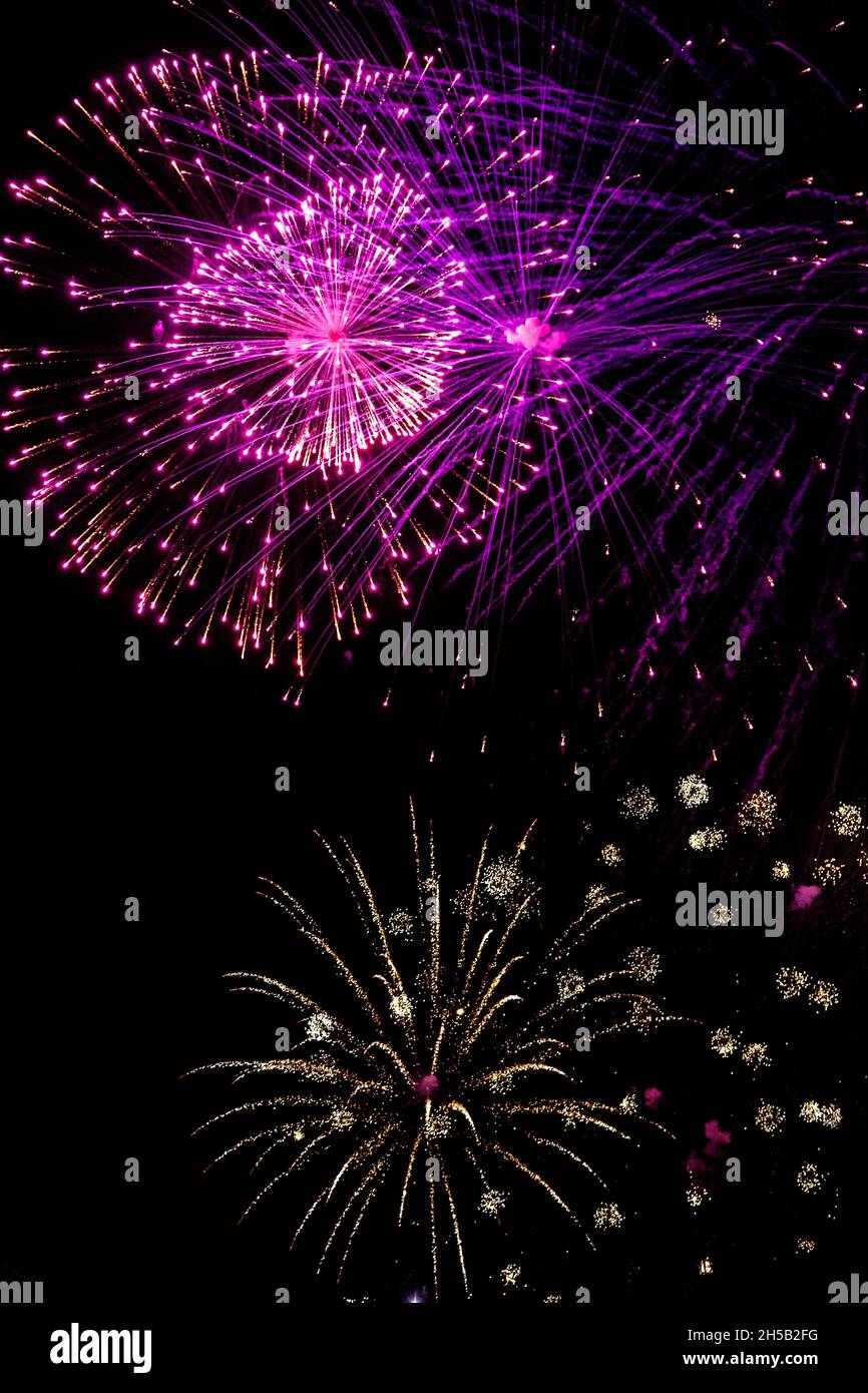 Fuochi d'artificio che esplodono contro un cielo notturno Foto Stock